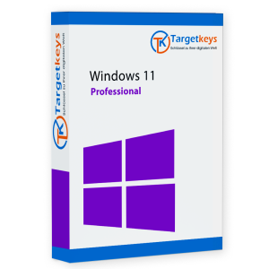 Windows 11 Pro